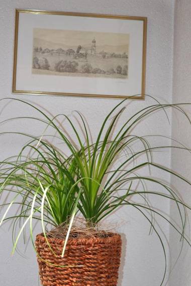 Gästehaus-Pension Barbara