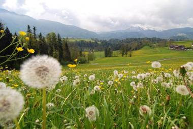 Ferienwohnung Sonnenhof