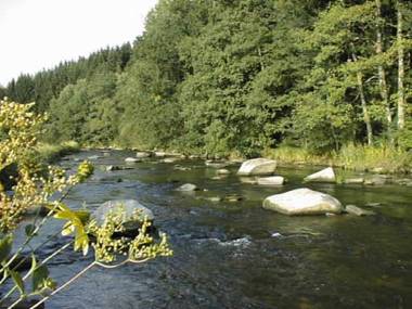 Bärnsteinhof - Gasthof mit Herz