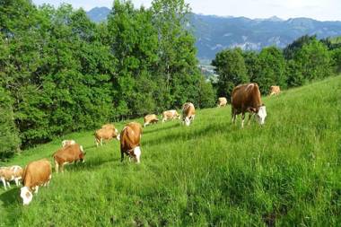 Bio- Erlebnis-Bauernhof-Thonnerhof