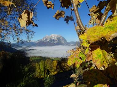 Bio- Erlebnis-Bauernhof-Thonnerhof