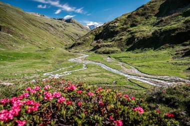 Putzenhof Appartements