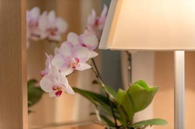 La Pura Women's Health Resort Kamptal