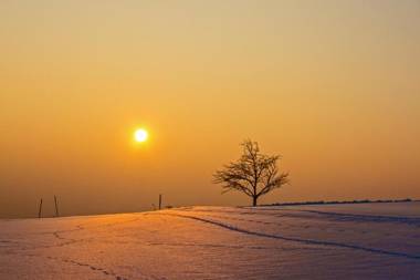 Gasthof 'Zum alten Turm'
