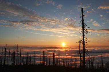 Gasthof 'Zum alten Turm'