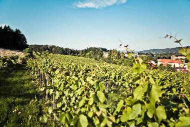 Gasthof Mauthner Zum Kirchenwirt