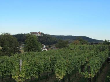 Gasthof Schmid - Unterkunft & Restaurant