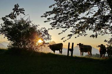 Ferienwohnung Pyhrgasblick