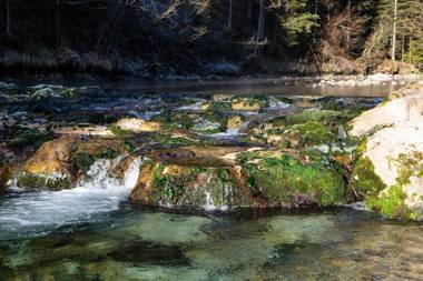 Ferienwohnung Pyhrgasblick