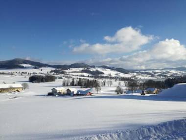 Ferienhaus Mitterbauer