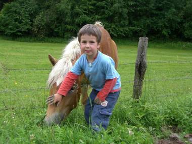 Ferienhaus "Zur alten Schmiede"