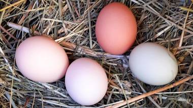 Ferienwohnung - a Auszeit