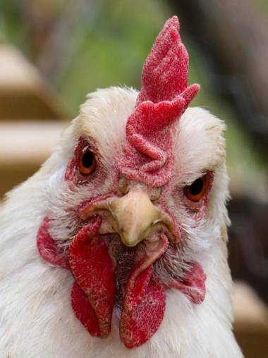 Ferienwohnung - a Auszeit