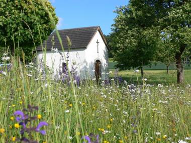Ferienbauernhof Koller (Familie Hofer) - Urlaub am Bauernhof