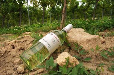 Ferienwohnung Weinkutscher