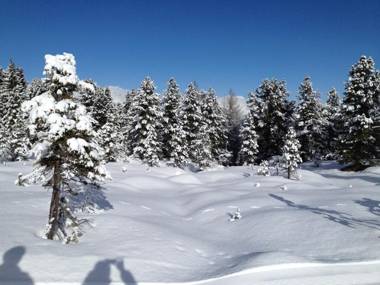 Wohlfühlappartement Kreischberg