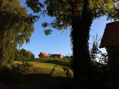 Ferienhäuser im Weingarten