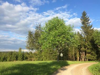 Ferienhaus Juster im Wald