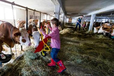Familienparadies Zeislerhof