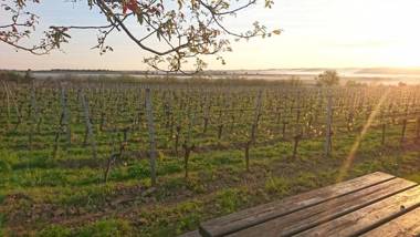 Weingut Familie Bauer