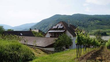 Weinbau und Gästezimmer Pammer