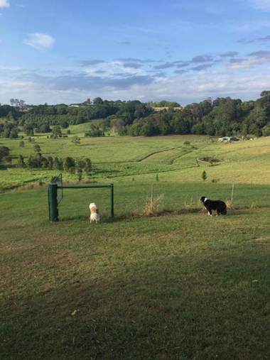 Tropical Coast Retreat - Pet Friendly - Adult only