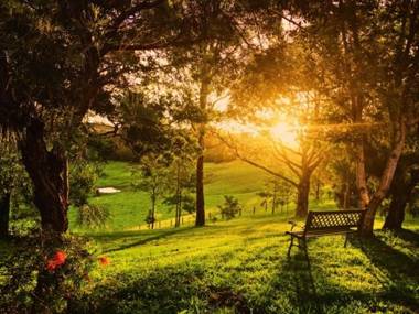 Tropical Coast Retreat - Pet Friendly - Adult only