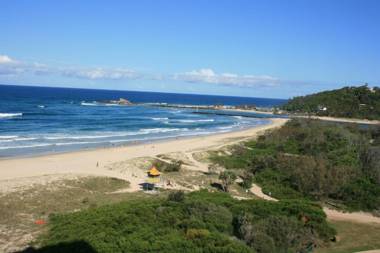 Princess Palm on the Beach