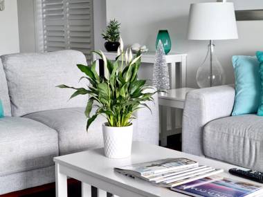 Sealuxe - Central Surfer Paradise - Spacious Ocean View King Spa Apartment