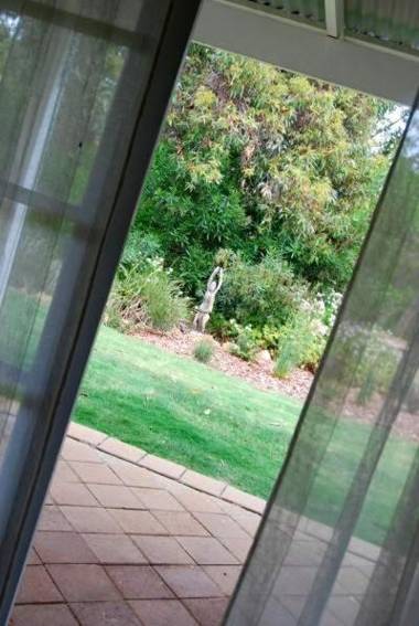 Llewellin's Guest House