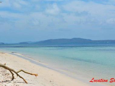 7 Judith Street - Stunning duplex with ducted air