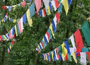 Noosa Hinterland Retreat