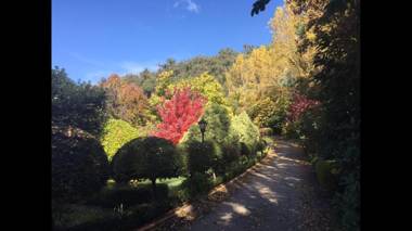 Chestnut Tree Holiday Units