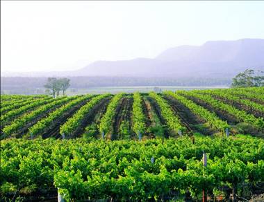 Hunter Valley Resort