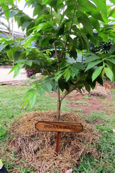 On The Wallaby Lodge