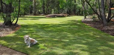 Yallingup Pet Friendly Bush Retreat