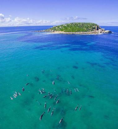 Breeze Beachfront Apartments