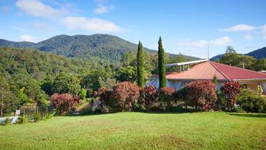 A view of Mount Warning