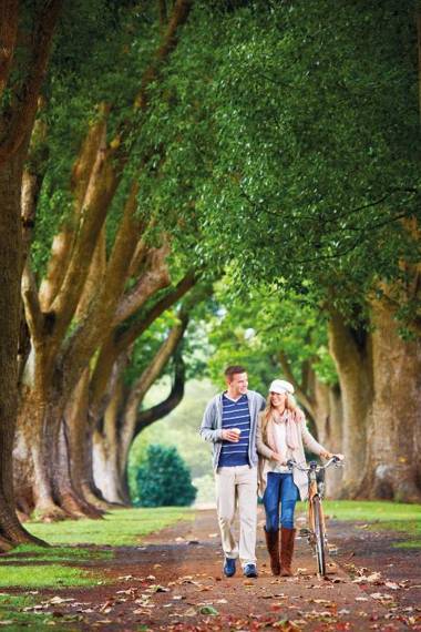 Oaks Toowoomba Hotel