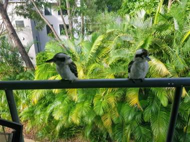 Baden 45 - Rainbow Shores Beachside Unit Aircon Swimming Pool Tennis Court