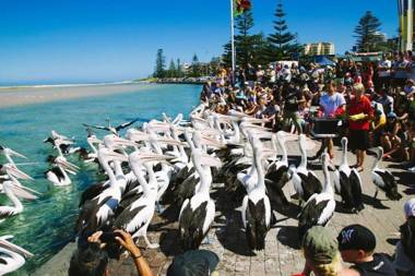 Beach and Ocean Front Penthouse with Wifi and Parking