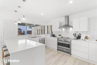 Osprey at Nelson Bay