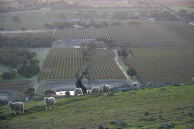 Barossa Vineyard Cottages