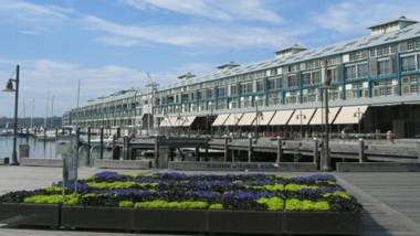 Harbour Fringe Apartment