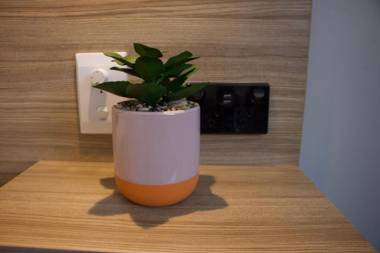 Carnarvon Lodge Kirribilli Sydney