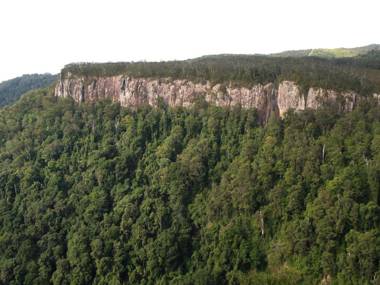 Springbrook Lyrebird Retreat