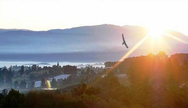 Eagle's View Cottage - Yarra Valley