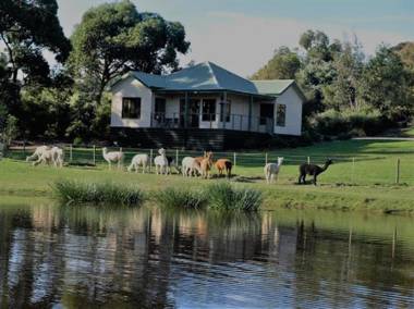 Raynella Alpaca Farmstay