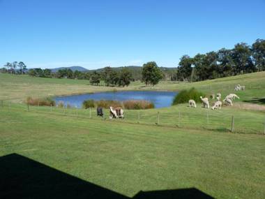 Raynella Alpaca Farmstay