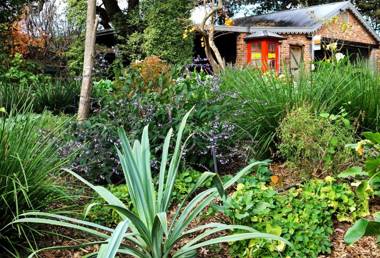 The Oaks Lilydale Accommodation